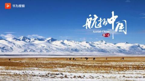抓住新年的尾巴，華為視頻伴你共度元宵！