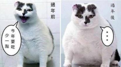 掃一掃就能知道卡路里？華為nova4成減肥好幫手