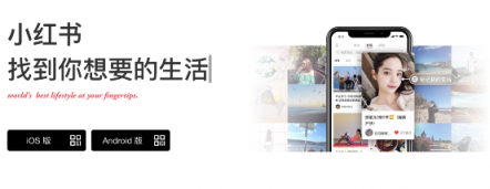成功買到星巴克限量貓爪杯的人都匯聚在了小紅書?是的沒錯(cuò)!