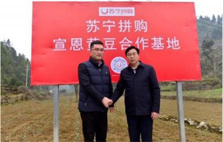 蘇寧拼購包山包湖又包海，如此雄心壯志究竟為哪般？