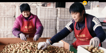蘇寧“拼基地”：做兩會(huì)脫貧攻堅(jiān)戰(zhàn)的先鋒隊(duì)