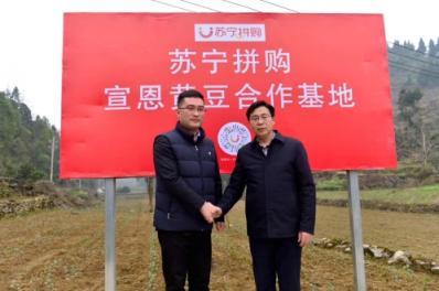 一個(gè)“拼基地”每年售出3億，扶貧對蘇寧而言絕非口號！