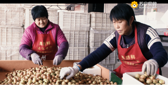 當(dāng)全民煥新節(jié)遇上精準扶貧，讓電商節(jié)有了特別的溫度