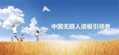 湘糧板業(yè)參編《人造板用無甲醛添加膠黏劑》團體標(biāo)準制定，引領(lǐng)無醛板市場發(fā)展