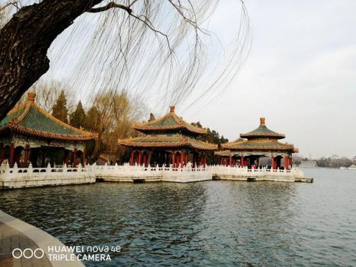 3200萬立體美顏，超大廣角，華為nova 4e拍照效果令人驚艷