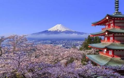 又到賞櫻季！芝麻信用攜手小豬?日本民宿5折起?還可以免押金！