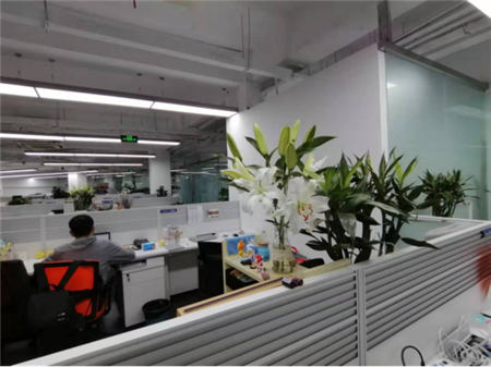 打造高顏值自拍神器，華為nove 4e或成年輕人手機(jī)時尚新標(biāo)桿