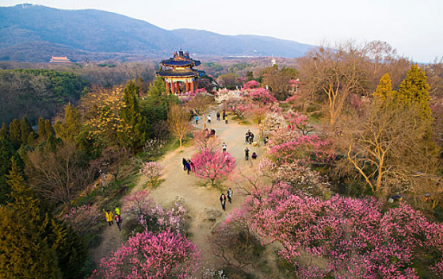 煙花三月，老司機(jī)教你最正確的踏春打開方式！