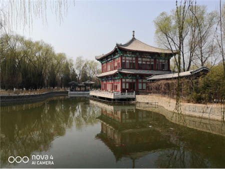 江南踏青攻略：拍下春風(fēng)，吃遍十里！