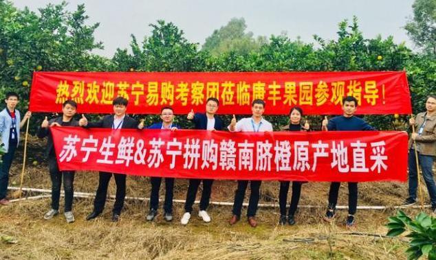 極簡供應(yīng)鏈打造品質(zhì)拼購，蘇寧拼購“極簡”背后的智慧