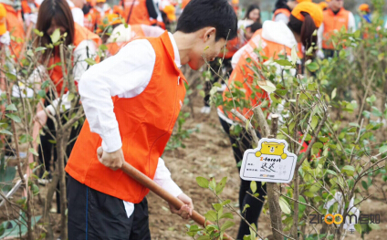 杭州自如綠色公益：共建“自如林”，與城市一起深呼吸