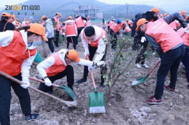 杭州自如綠色公益：共建“自如林”，與城市一起深呼吸