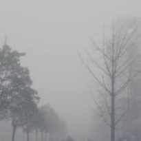 為了保持睡眠的健康，我選擇了它