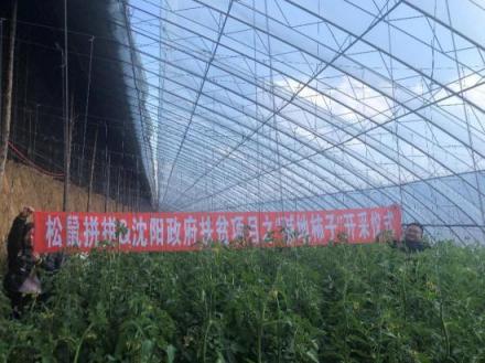 松鼠拼拼攜手沈陽市政府精準(zhǔn)扶貧，共同打造甜蜜事業(yè)
