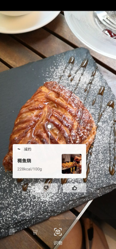 陽(yáng)春三月，又追著櫻花來到目黑川河畔