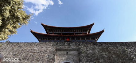 櫻花，油菜花，雪山，古城，憑海臨風一個不漏，陽春三月浪在大理