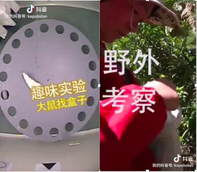 王閏強：用短視頻抓住科學最美的瞬間