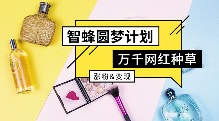 現(xiàn)社會財務(wù)自由的痛點(diǎn)與智蜂的破釜沉舟