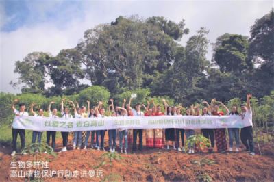DR PLANT植物醫(yī)生空瓶“長城”，捍衛(wèi)生物多樣性