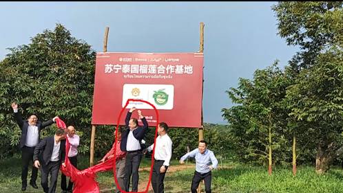 蘇寧網(wǎng)紅總裁出海親采，“卞農(nóng)跳”魔性刷屏