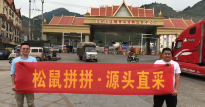 松鼠拼拼搶灘東南亞鮮果叢林，創(chuàng)始人楊俊奔赴源頭直采