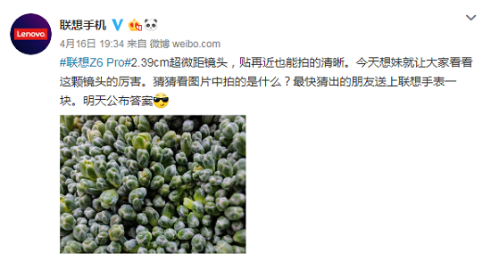 聯(lián)想新機(jī)Z6Pro攜ZUI 11強(qiáng)勢來襲，U-Touch或?qū)⒃僭靷髌?/></p><p>從聯(lián)想手機(jī)官微發(fā)布的另一條微博中可以看出，聯(lián)想Z6Pro在微距模式下拍攝的樣張細(xì)節(jié)處理到位，層次感，清晰度依然獲得了很好的保證。從之前的微博中，我們知道聯(lián)想Z6Pro擁有業(yè)界最強(qiáng)的2.39CM微距和125°超級廣角，無論是拍照，還是錄制視頻，最后成片的效果都表現(xiàn)不俗，而夜景、廣角、微距、防抖等多種拍攝模式，也是進(jìn)一步打造了聯(lián)想Z6Pro優(yōu)秀的拍攝能力。</p><p align=