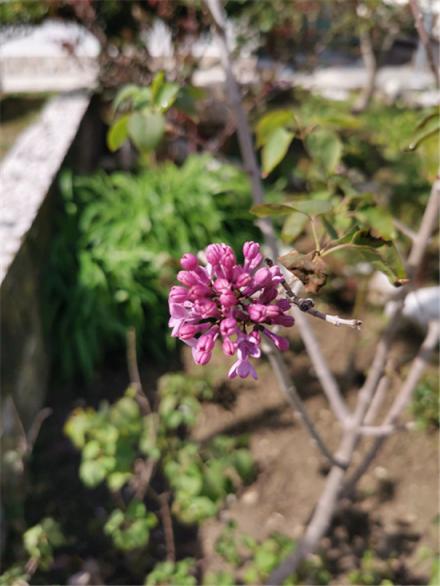 外媒Mashable評測華為P30 Pro：迄今最好的拍照手機(jī)，沒有之一！