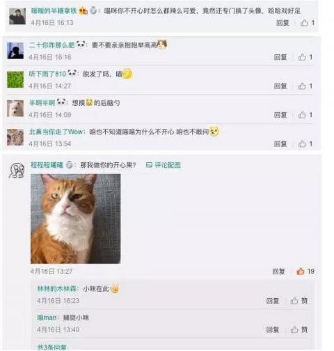 天貓TA為什么不開(kāi)心？剛剛，這個(gè)秘密正式揭曉