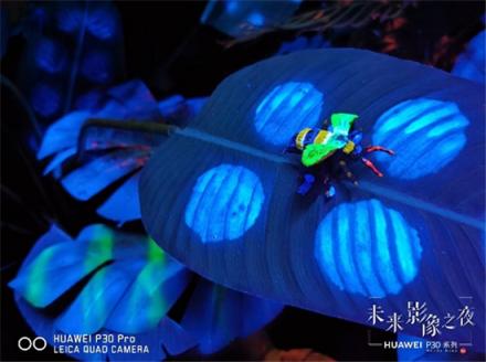 新美學(xué)時(shí)代的科技藝術(shù)品，華為P30抓住了時(shí)尚之魂