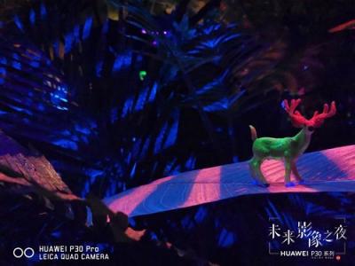 每一個人都可以成為藝術(shù)家 華為P30系列開啟未來影像新紀元