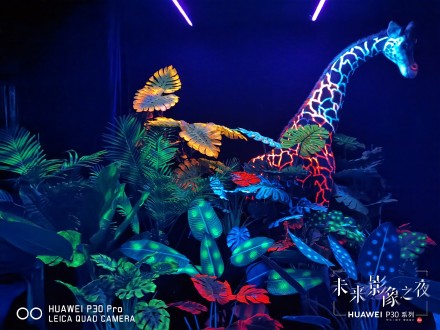HUAWEI P30系列耀然于世，暗夜之眼沖破數(shù)碼攝影影象技能根基