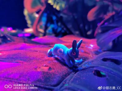HUAWEI P30系列耀然于世，暗夜之眼沖破數(shù)碼攝影影象技能根基