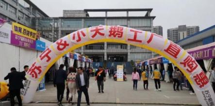 蘇寧牽手小天鵝玩轉(zhuǎn)“廠購”，工廠價直接面對消費(fèi)者