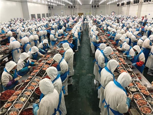 蘇寧快消再下一城，“包圓”越南3萬(wàn)畝火龍果基地