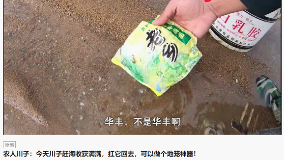新農(nóng)人川子專拍趕海抓螃蟹，今日頭條粉絲206萬！獲“海鮮搓澡一哥”