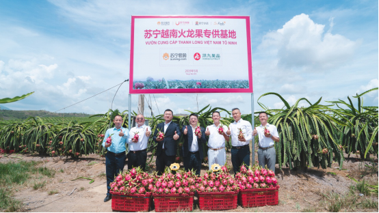 再包3萬畝越南火龍果，蘇寧如何攪動快消市場一池春水？