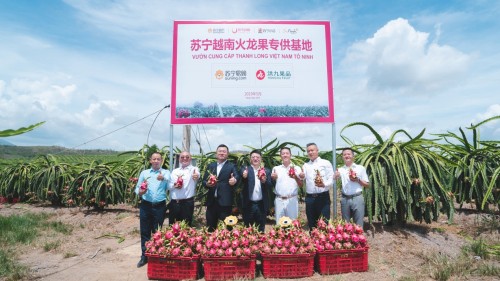 進口水果親民價，蘇寧618狂打“水果自由”