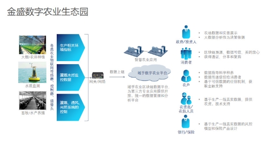 技術(shù)驅(qū)動(dòng)革新，域乎為數(shù)字農(nóng)業(yè)注入強(qiáng)心劑