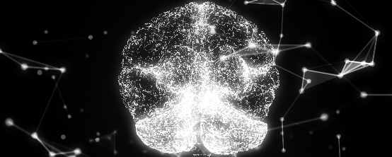 真實(shí)版“最強(qiáng)大腦”研究，浪潮存儲承載起腦科研PB級新數(shù)據(jù)