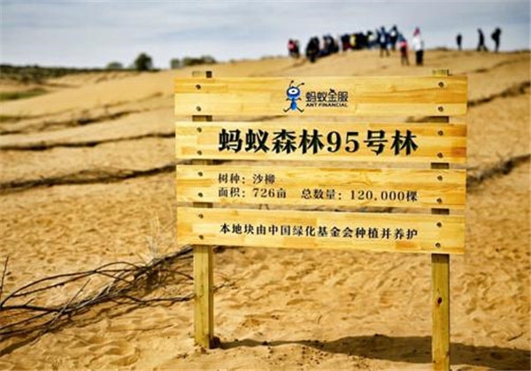AI遇到公益，天貓精靈螞蟻森林套裝首發(fā)