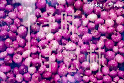 美的冰箱空降食材藝術展，導致在場上千枚洋蔥集體“變異”
