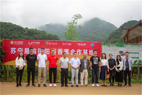 蘇寧拼購(gòu)建立田陽(yáng)“拼拼農(nóng)莊”促進(jìn)農(nóng)產(chǎn)品上行