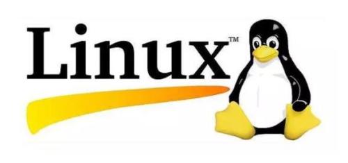感受開源之美，共享 Linux 的安全與便捷