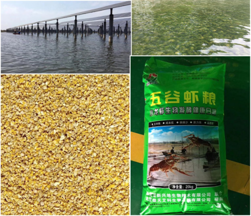 從產(chǎn)地直采到壞蝦包賠，看蘇寧如何做透小龍蝦生意
