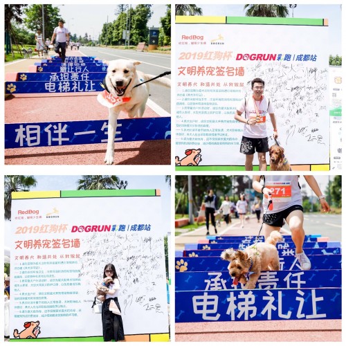 奔跑吧紅狗杯，千名寵友攜652只狗狗狂歡六一
