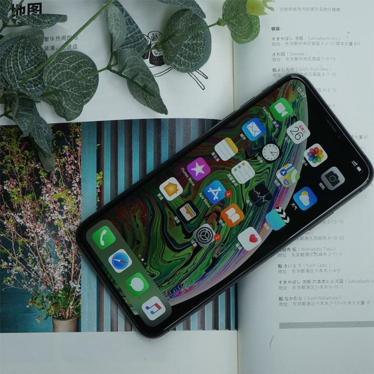 有著大屏幕還支持雙卡雙待，忠實果迷萬萬不能錯過