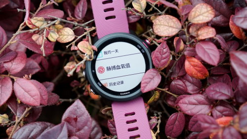 Garmin Forerunner 245，全新升級帶來全新體驗