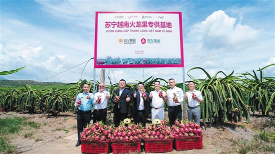 水果“漲聲一片”？蘇寧快消助你“水果自由”