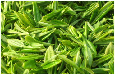 還在為冰箱串味異味煩惱？創(chuàng)維冰箱輕松解決！