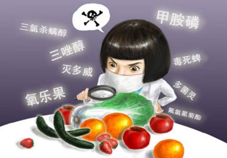 凈食機(jī)哪個(gè)牌子好，為什么凈食機(jī)已成為廚房必備？